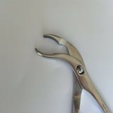 New Bone Holding Forceps for lower extremity Veterinary orthopedics Instruments